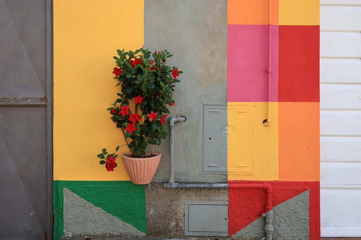 riparbella Italia 3